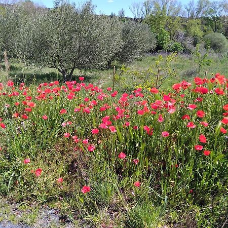 Appartement De Ville Medievale Vinca Εξωτερικό φωτογραφία