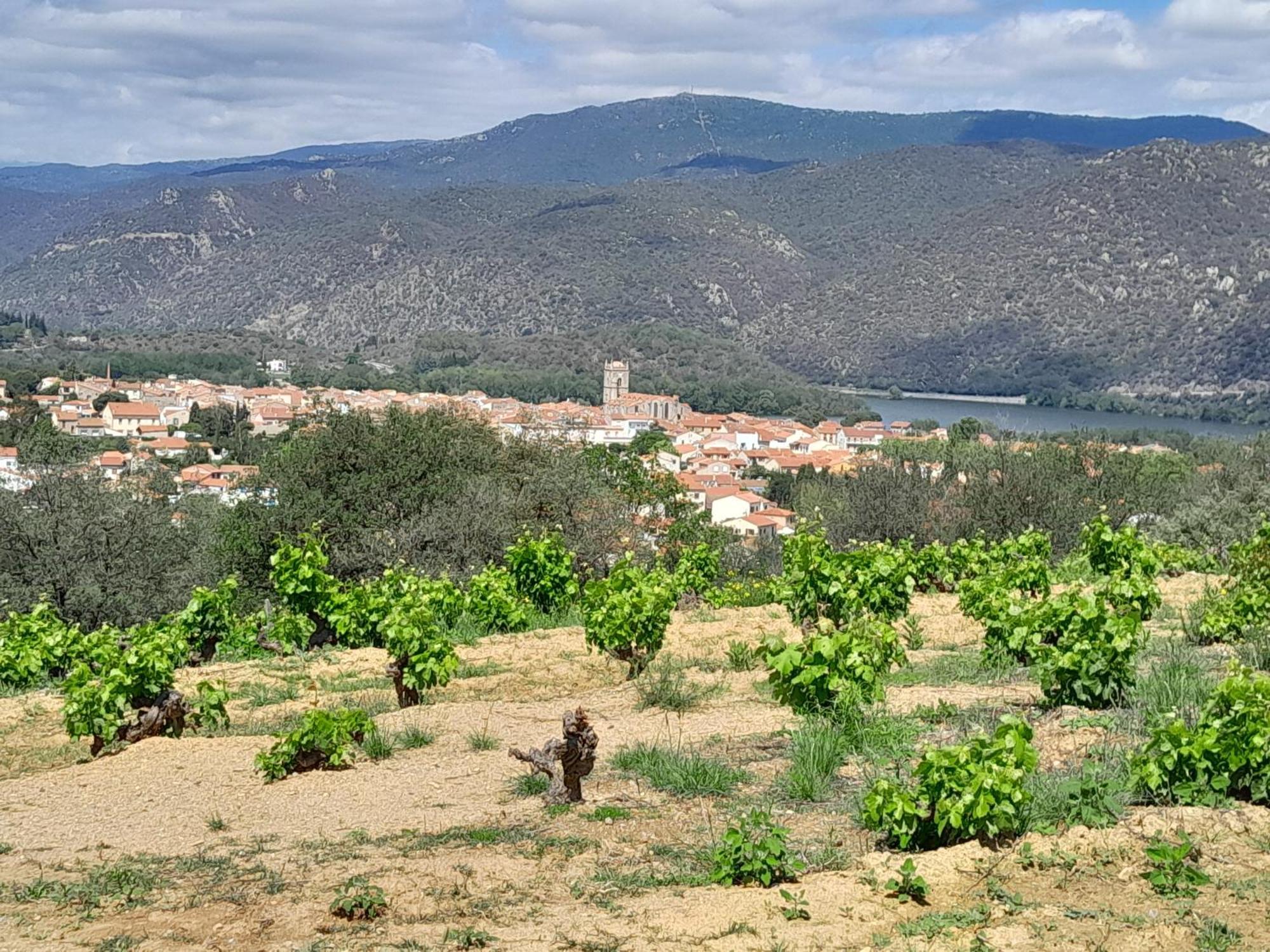 Appartement De Ville Medievale Vinca Εξωτερικό φωτογραφία